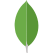 mongodb