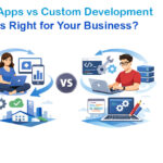 powerapps vs custom development